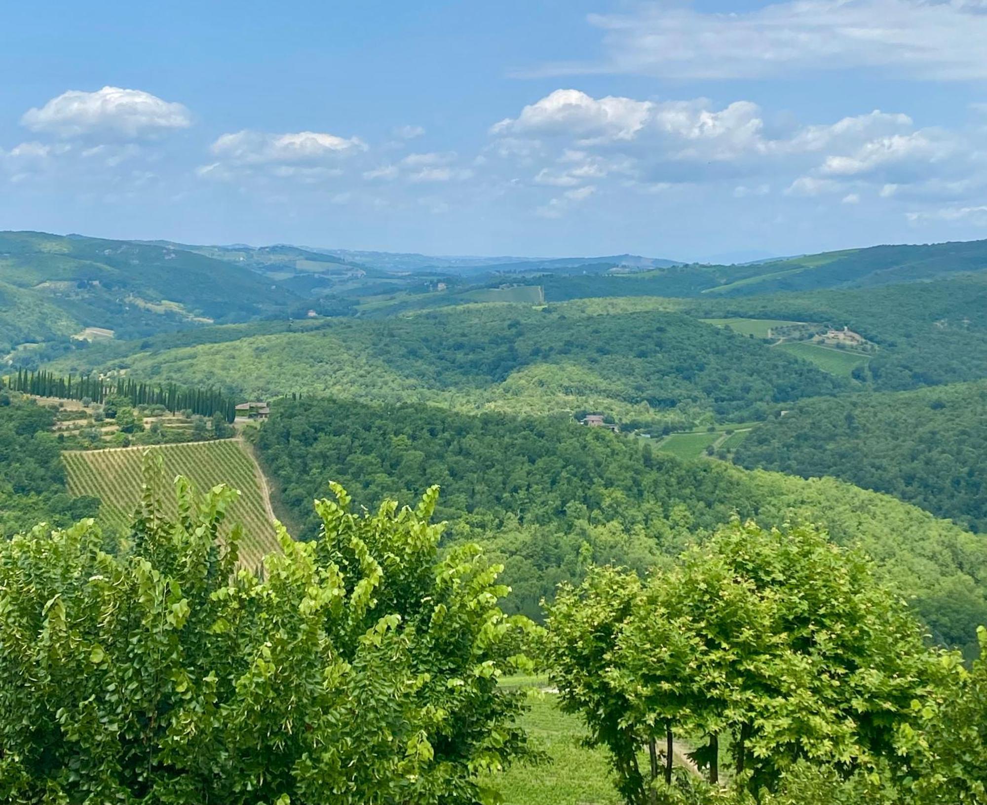 Casa Marina Villa Radda in Chianti Eksteriør billede